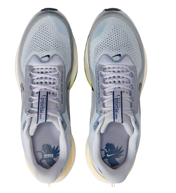 Nike Pegasus Premium (HQ2592-701)