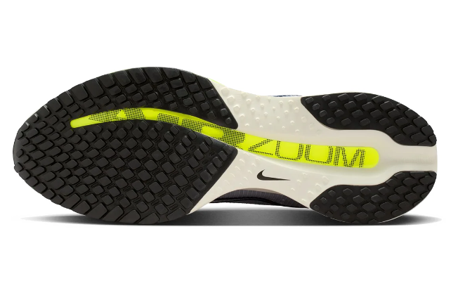 Nike Pegasus Premium (HQ2592-701)